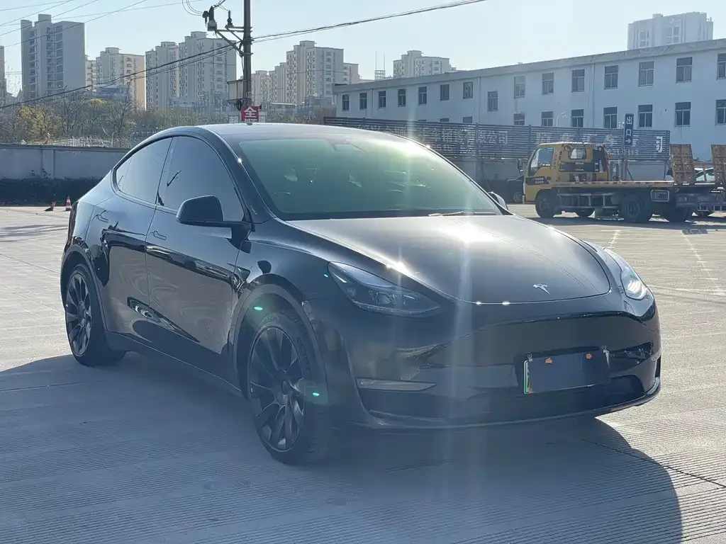 Tesla Model Y 2021 из CN, фото 3