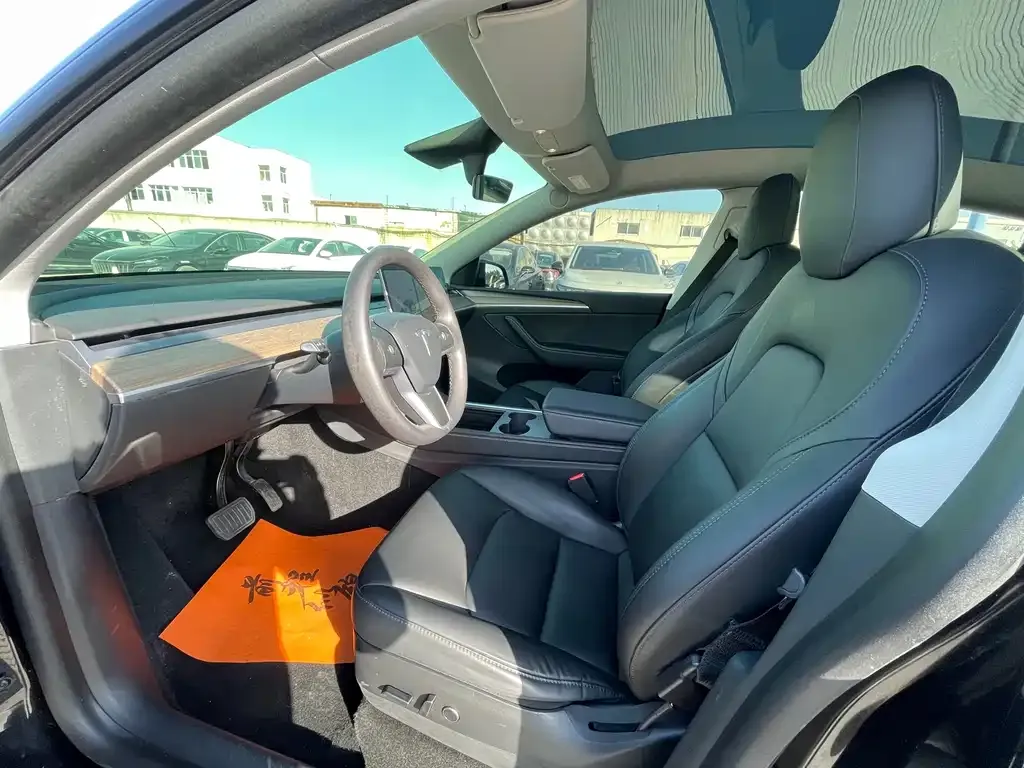 Tesla Model Y 2021 из CN, фото 4