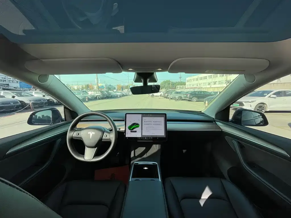 Tesla Model Y 2021 из CN, фото 5