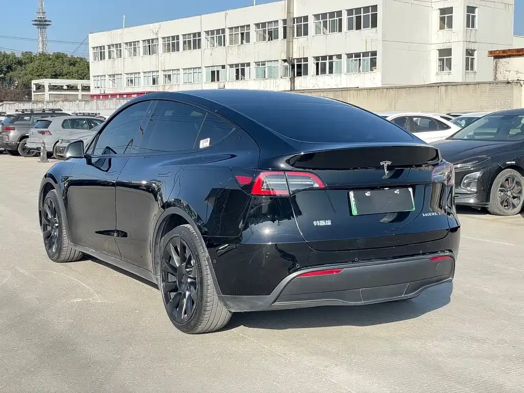 Tesla Model Y 2021 из CN, фото 7