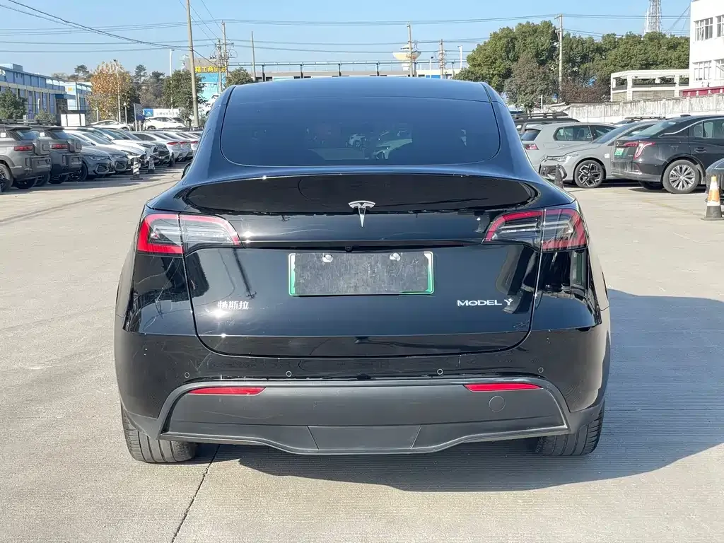 Tesla Model Y 2021 из CN, фото 8