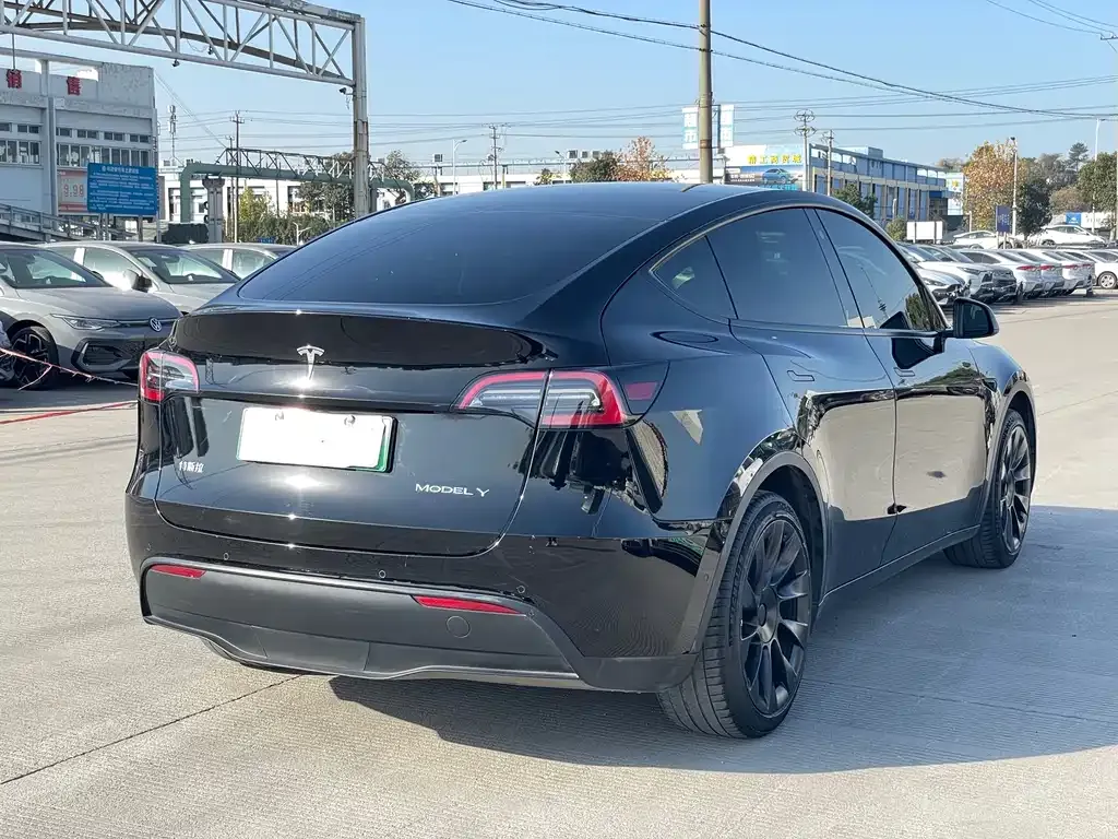 Tesla Model Y 2021 из CN, фото 9