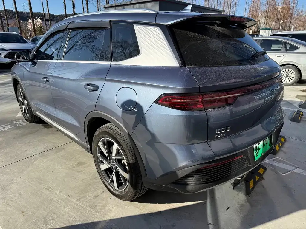 BYD Pro New Energy 2023 из CN, фото 4