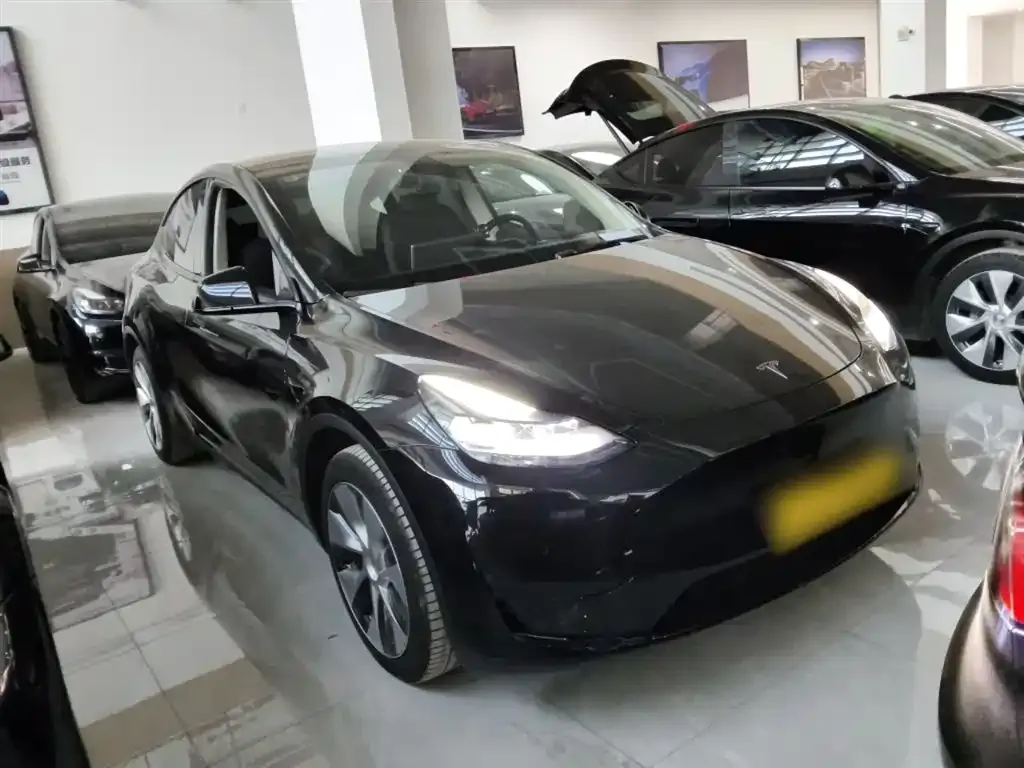 Tesla Model Y 2022 из CN, фото 4