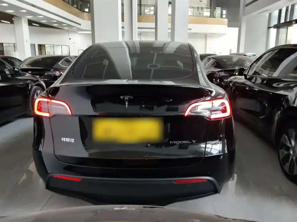 Tesla Model Y 2022 из CN, фото 6