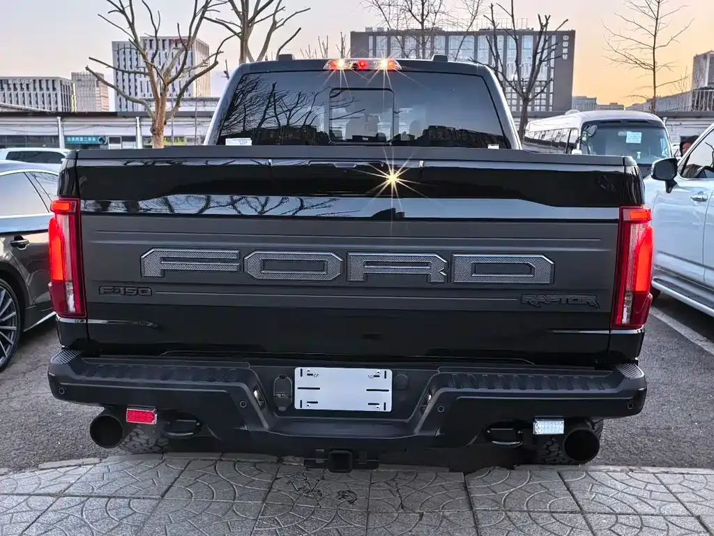 Ford F-150 Raptor 2025 из CN, фото 4