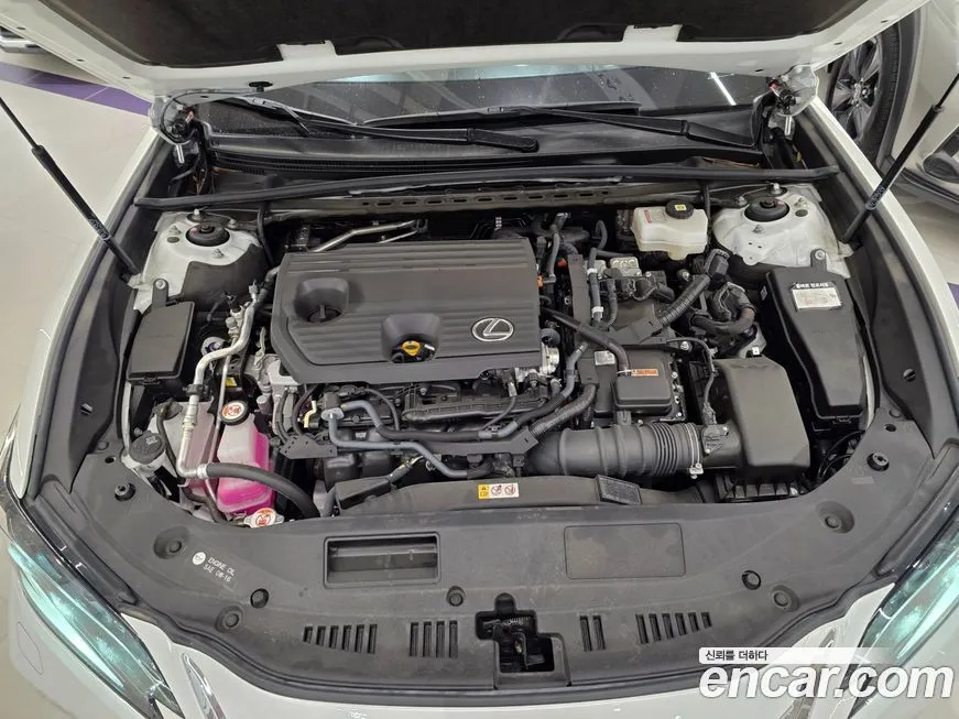 Lexus ES 2024 из KR, фото 8
