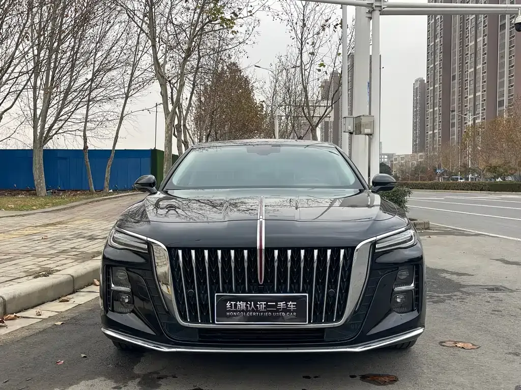 Hongqi H5 2024 из CN, фото 8