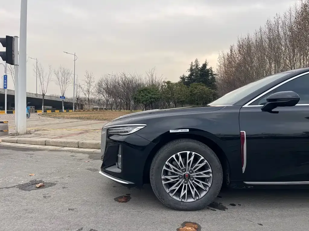 Hongqi H5 2024 из CN, фото 3