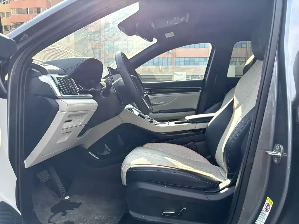 BYD PLUS New Energy 2024 из CN, фото 2