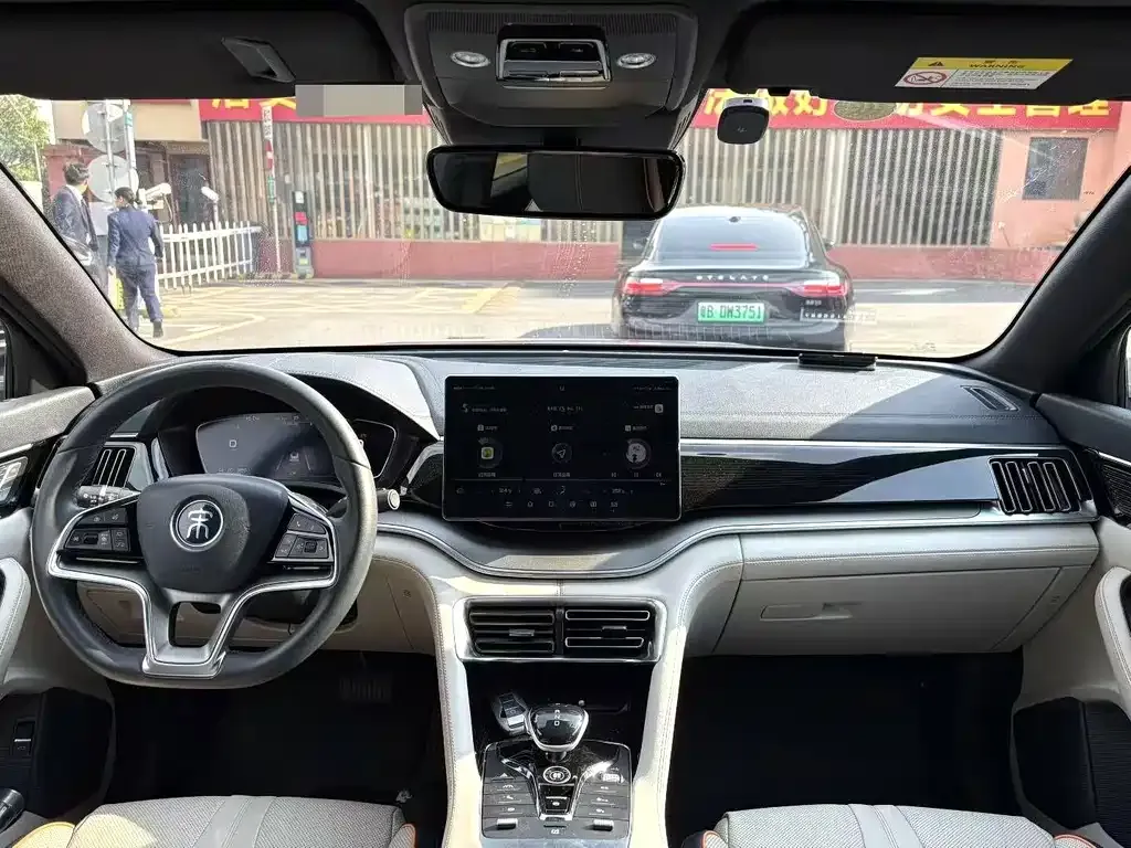 BYD PLUS New Energy 2024 из CN, фото 4