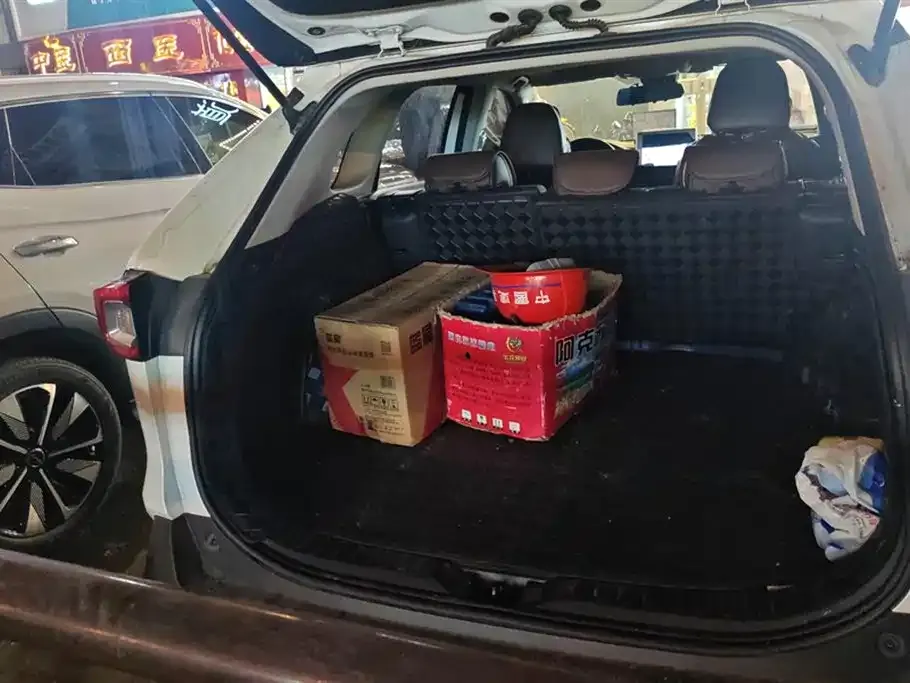 Toyota Wildlander 2021 из CN, фото 5
