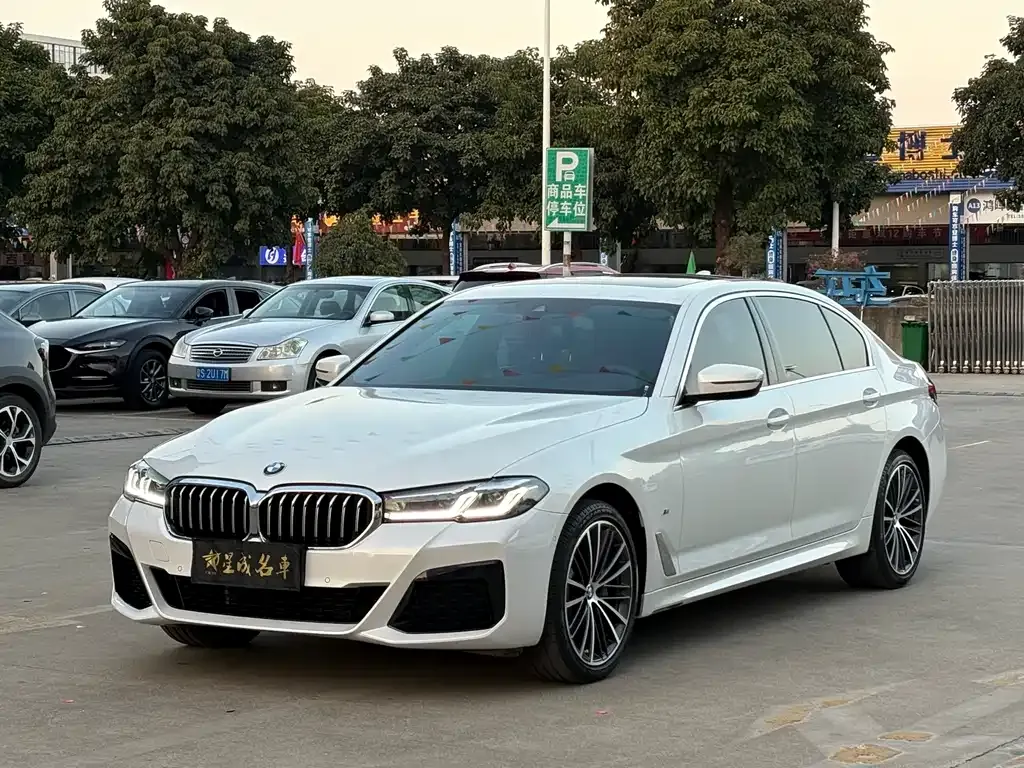 BMW 5 Series 2022 из CN, фото 1