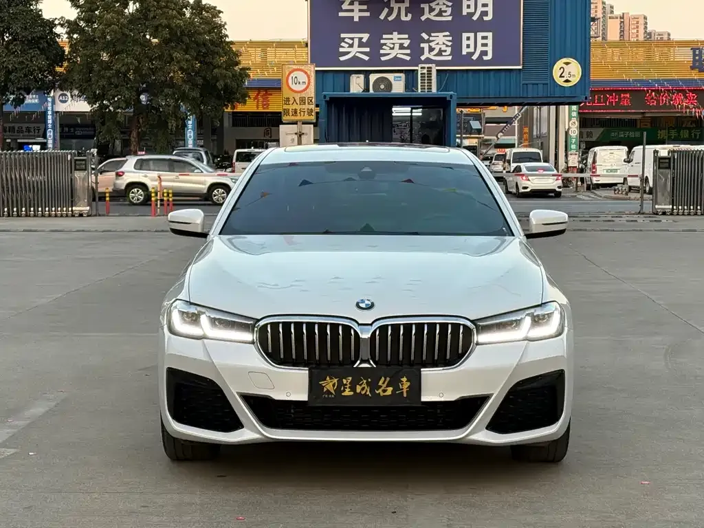 BMW 5 Series 2022 из CN, фото 9