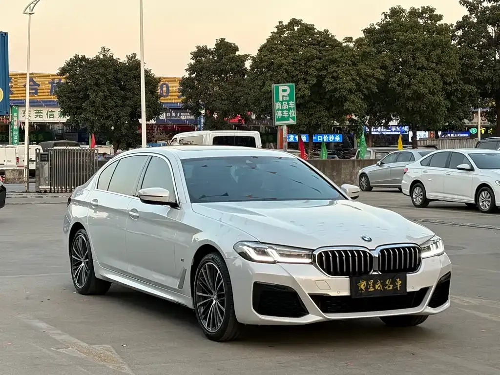 BMW 5 Series 2022 из CN, фото 8