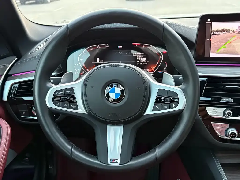 BMW 5 Series 2022 из CN, фото 7