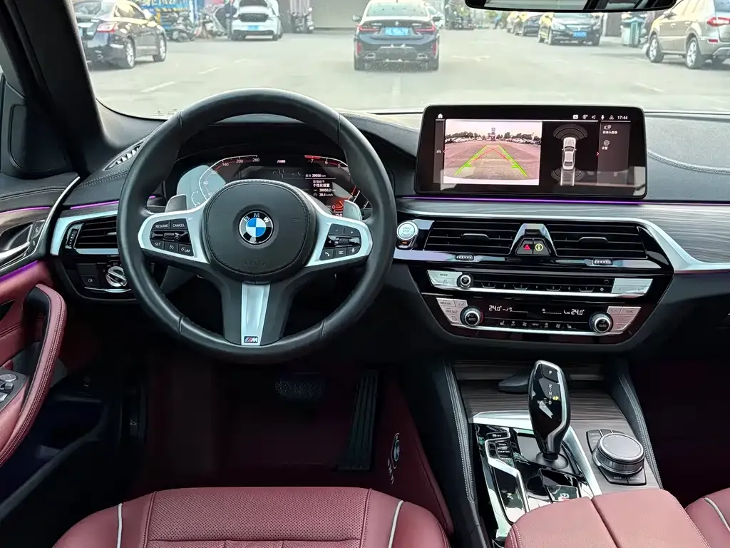 BMW 5 Series 2022 из CN, фото 5