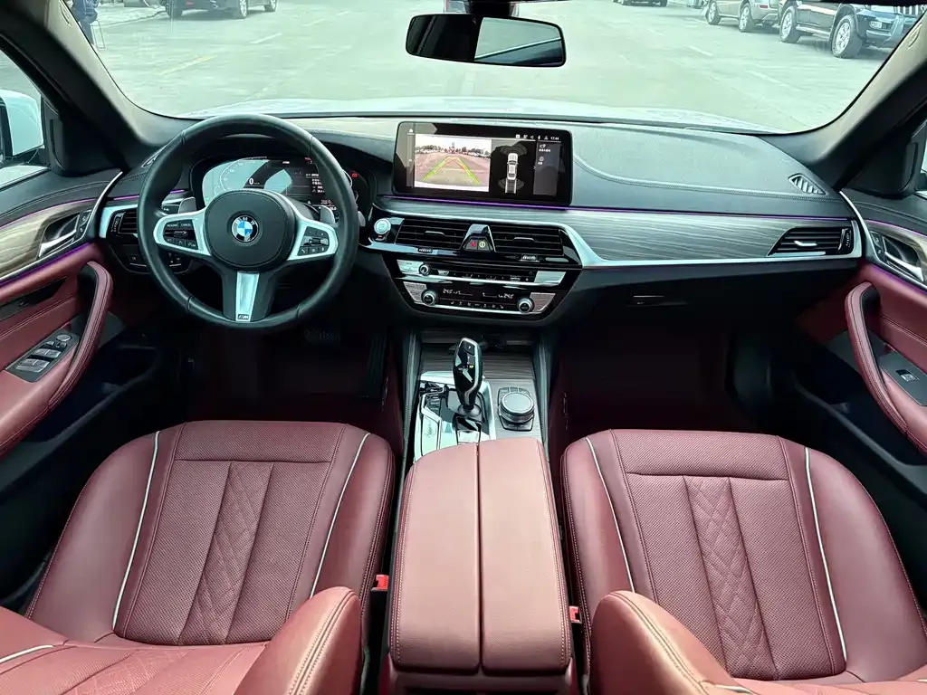 BMW 5 Series 2022 из CN, фото 4