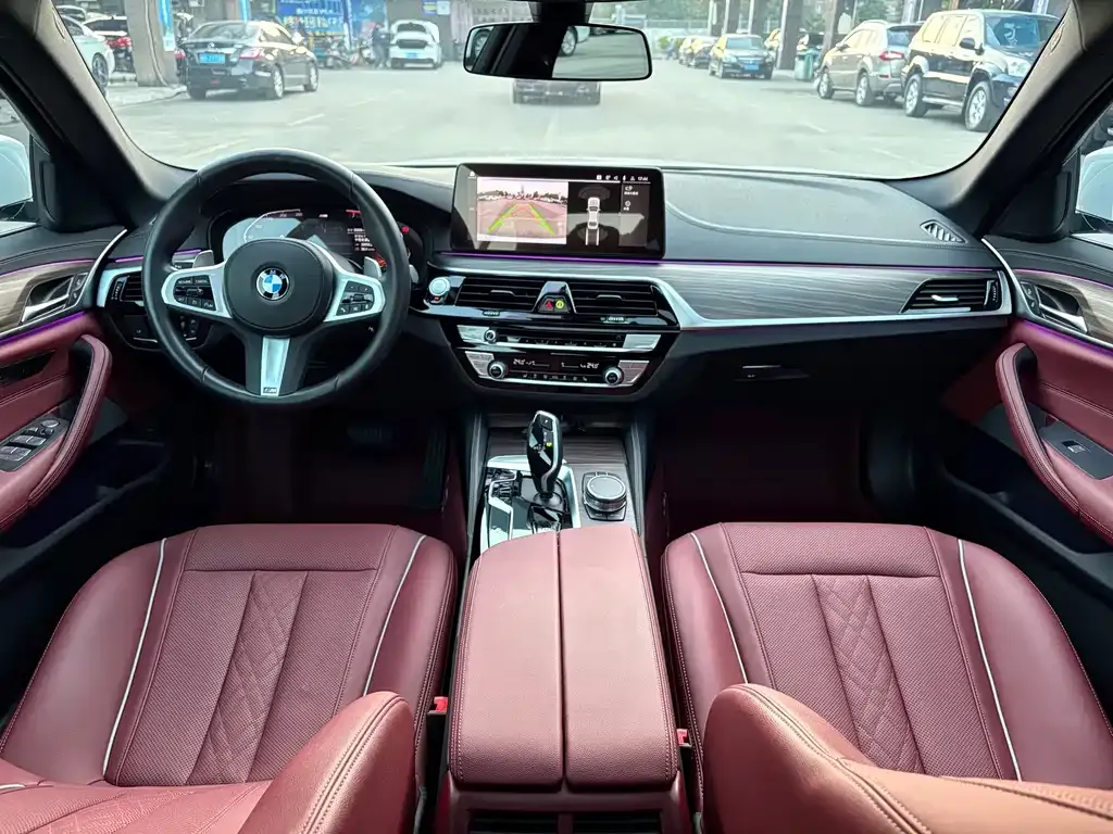 BMW 5 Series 2022 из CN, фото 6