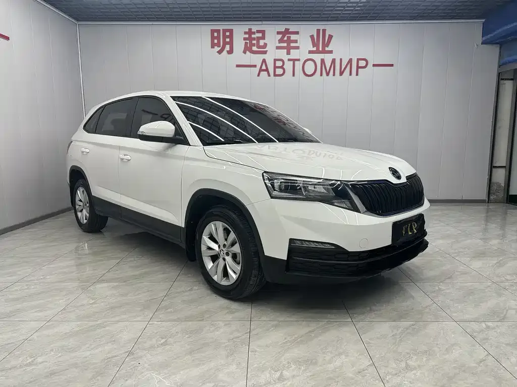 Skoda Kamiq 2021 из CN, фото 2