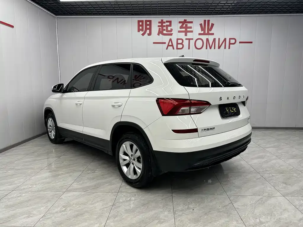 Skoda Kamiq 2021 из CN, фото 8