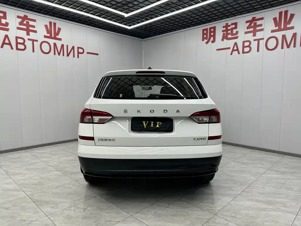 Skoda Kamiq 2021 из CN, фото 3