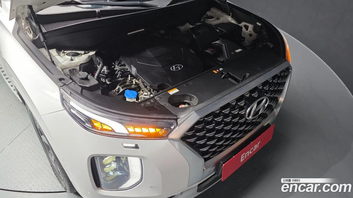 Hyundai Palisade 2021 из KR, фото 10