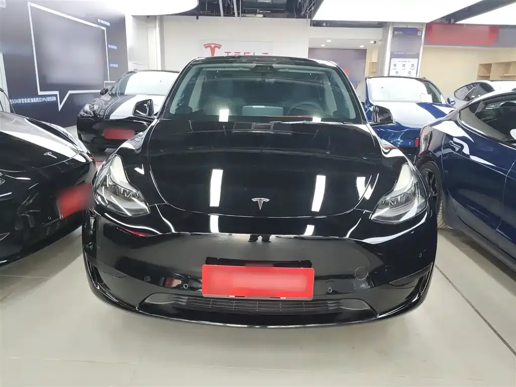 Tesla Model Y — фото 3