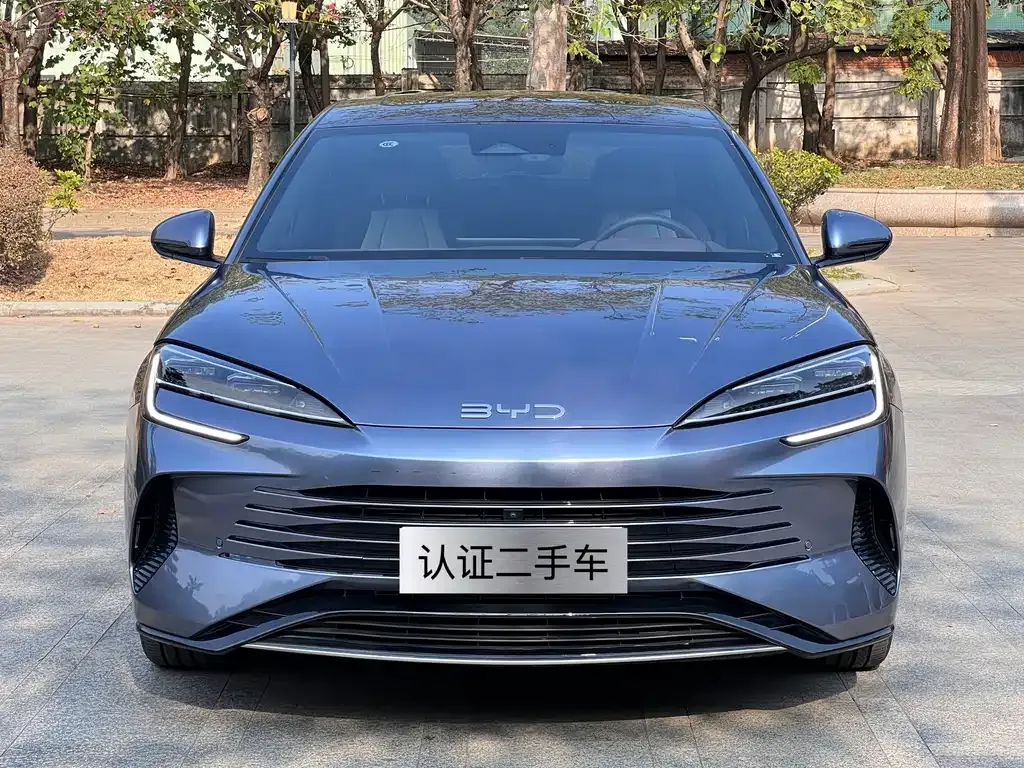 BYD Seal 07 DM-i 2024 из CN, фото 7