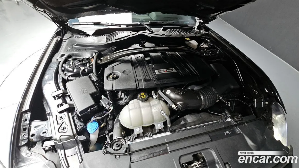 Ford Mustang 2022 из KR, фото 6