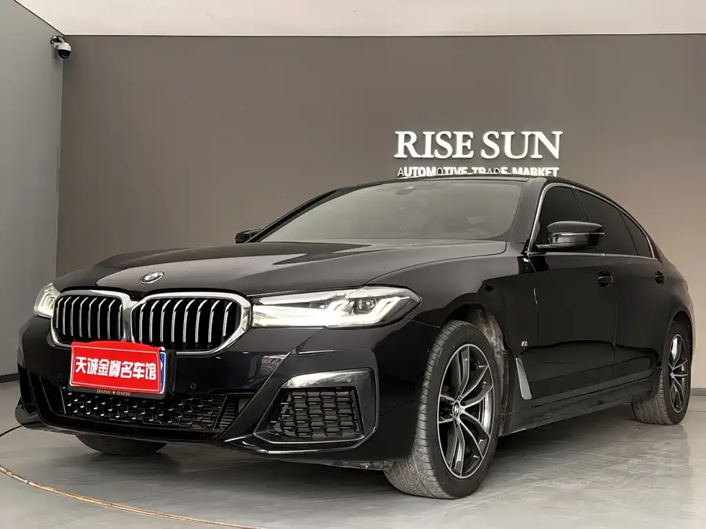 BMW 5 Series 2023 из CN, фото 1