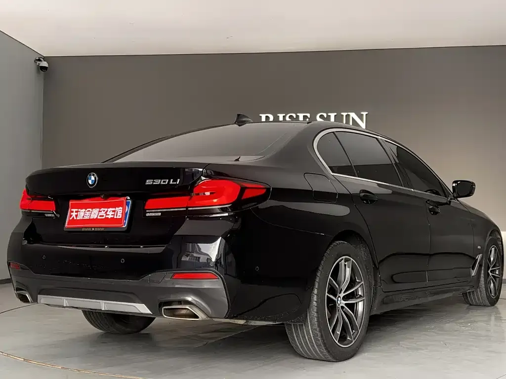 BMW 5 Series 2023 из CN, фото 9