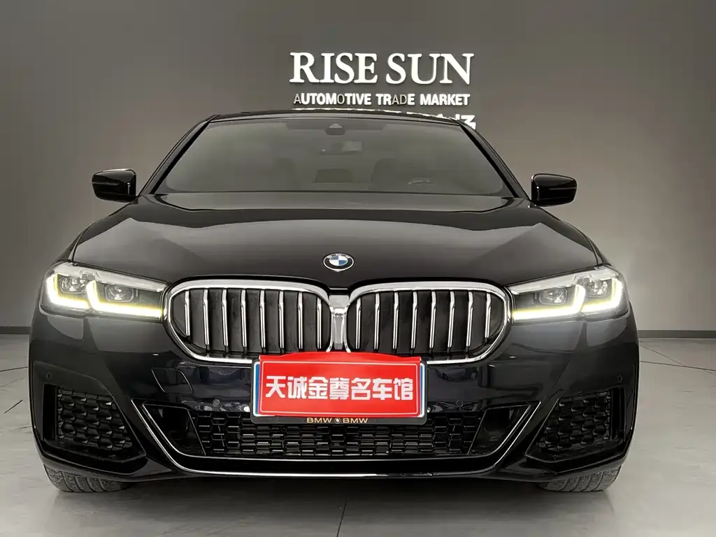 BMW 5 Series 2023 из CN, фото 6