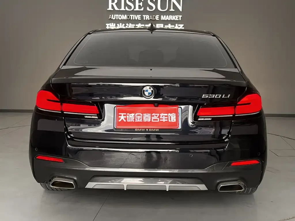 BMW 5 Series 2023 из CN, фото 4