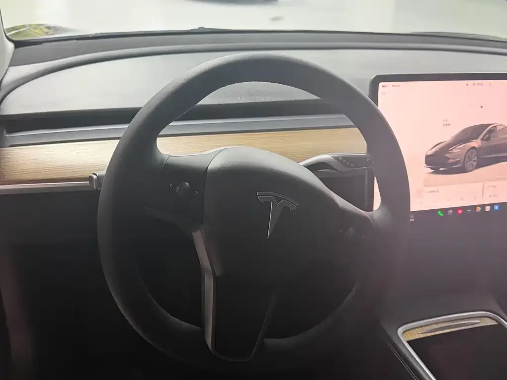 Tesla Model 3 2022 из CN, фото 4
