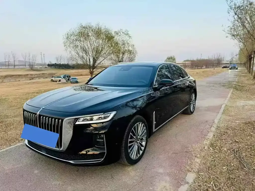Hongqi H9 2022 из CN, фото 4