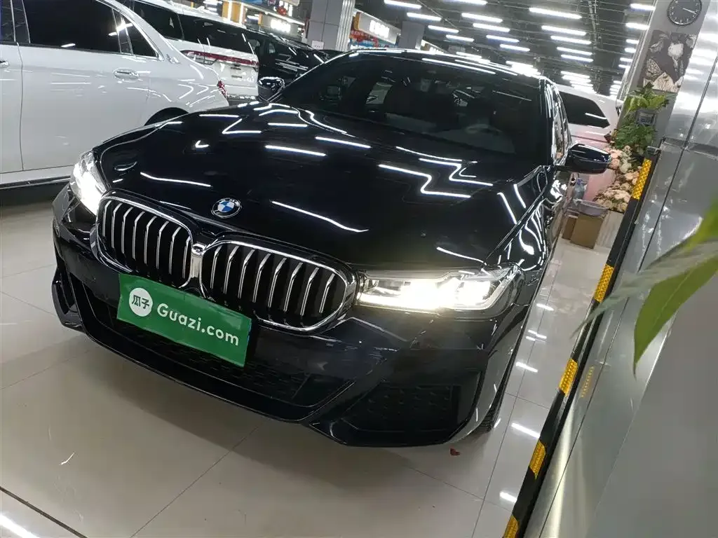 BMW 5 Series 2023 из CN, фото 1