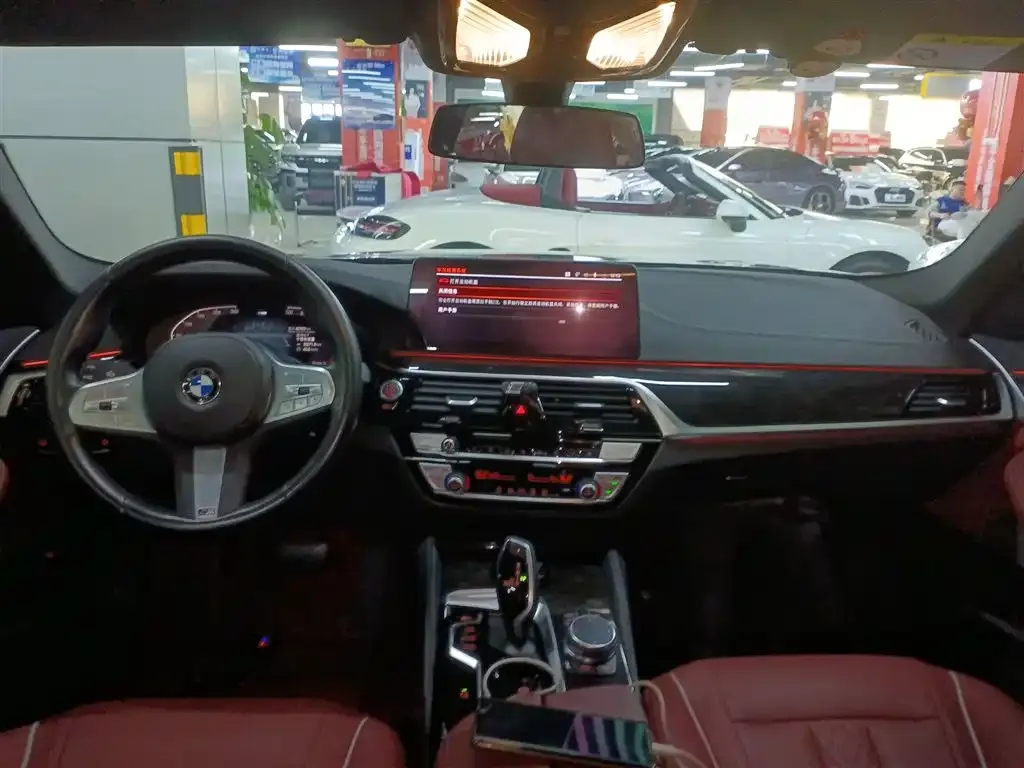 BMW 5 Series 2023 из CN, фото 8