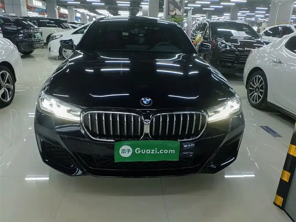 BMW 5 Series 2023 из CN, фото 10
