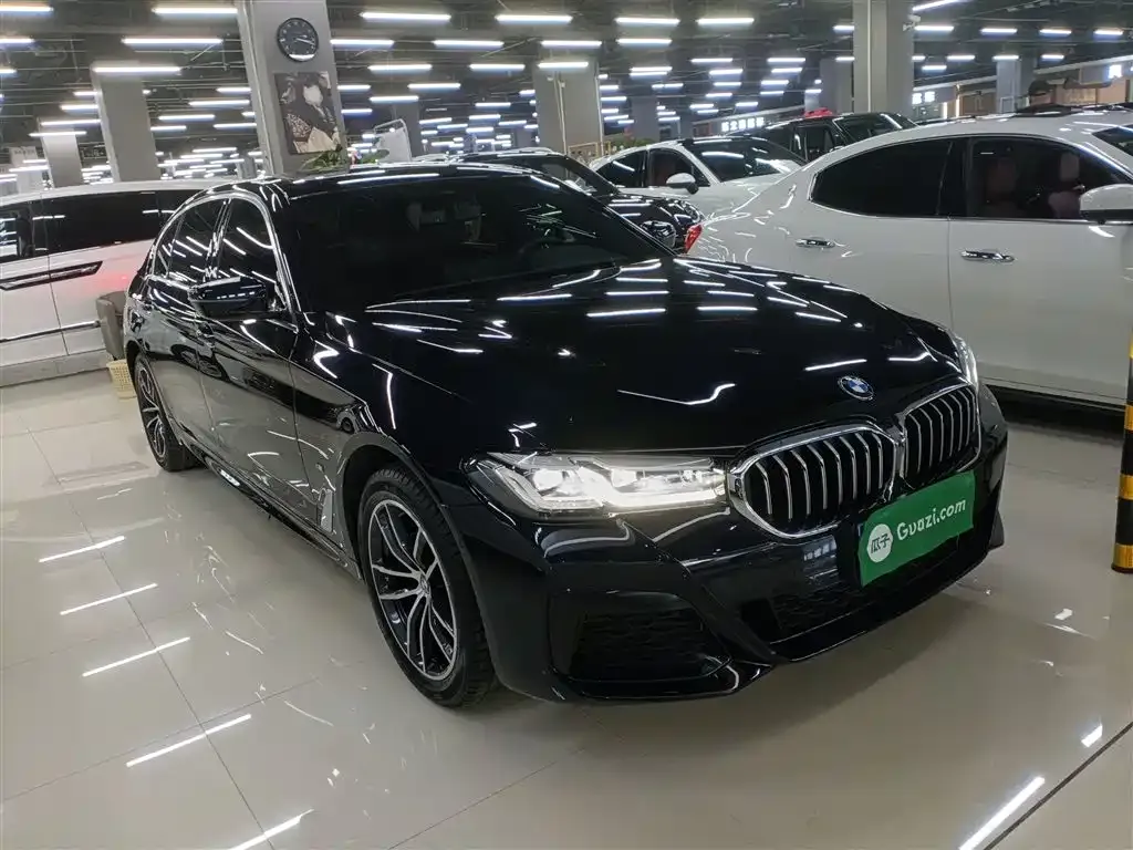 BMW 5 Series 2023 из CN, фото 5