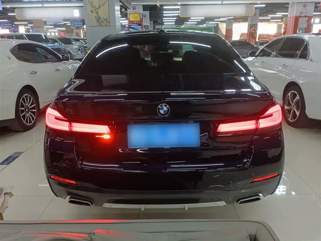 BMW 5 Series 2023 из CN, фото 9