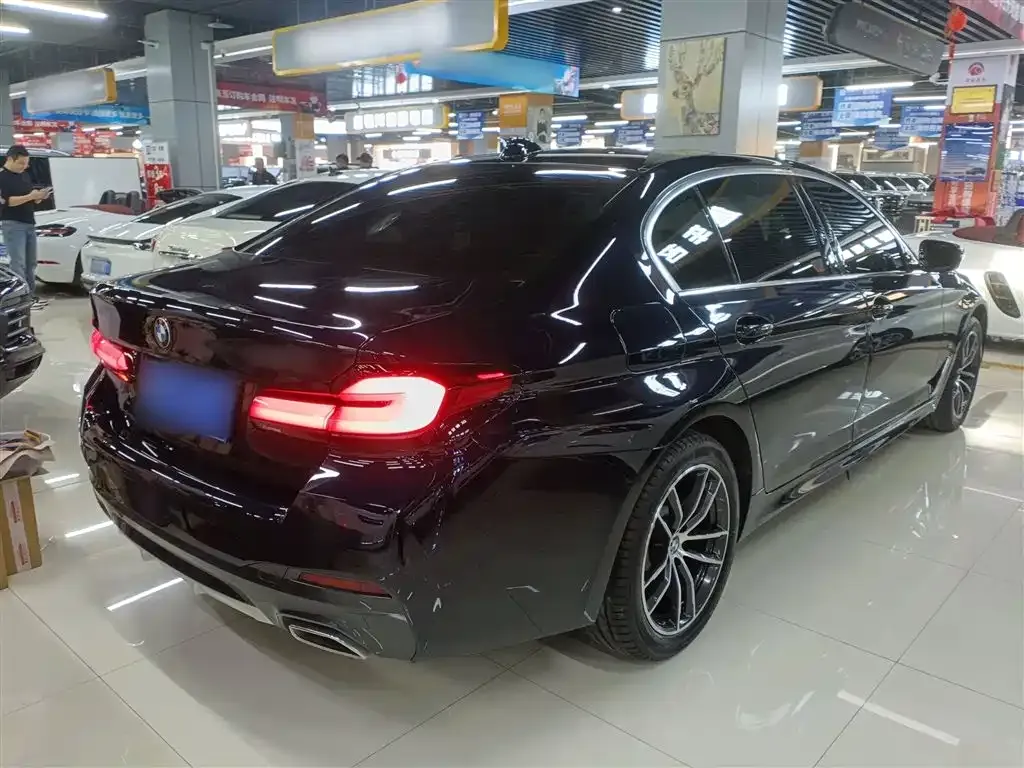 BMW 5 Series 2023 из CN, фото 6