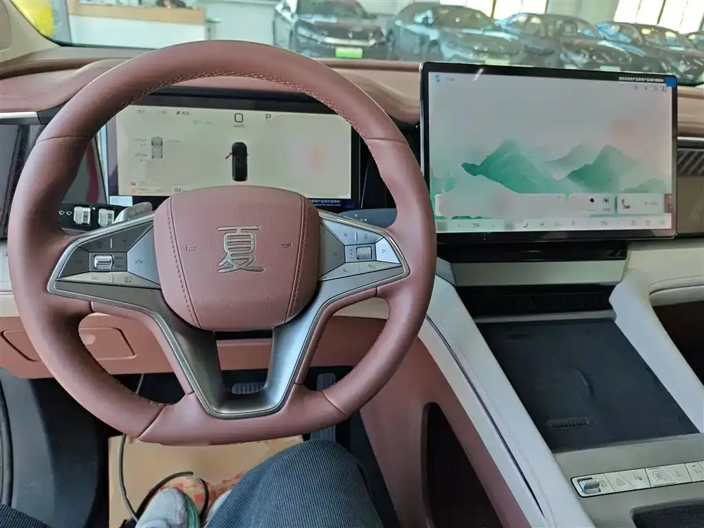 BYD Xia 2025 из CN, фото 6