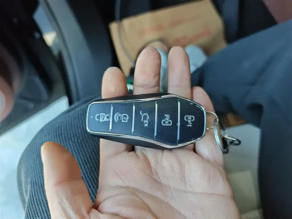 BYD Xia 2025 из CN, фото 2