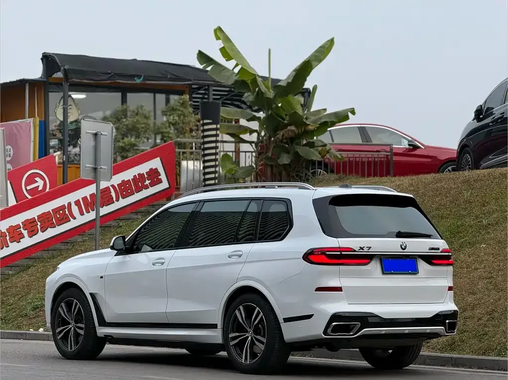 BMW X7 2023 из CN, фото 9