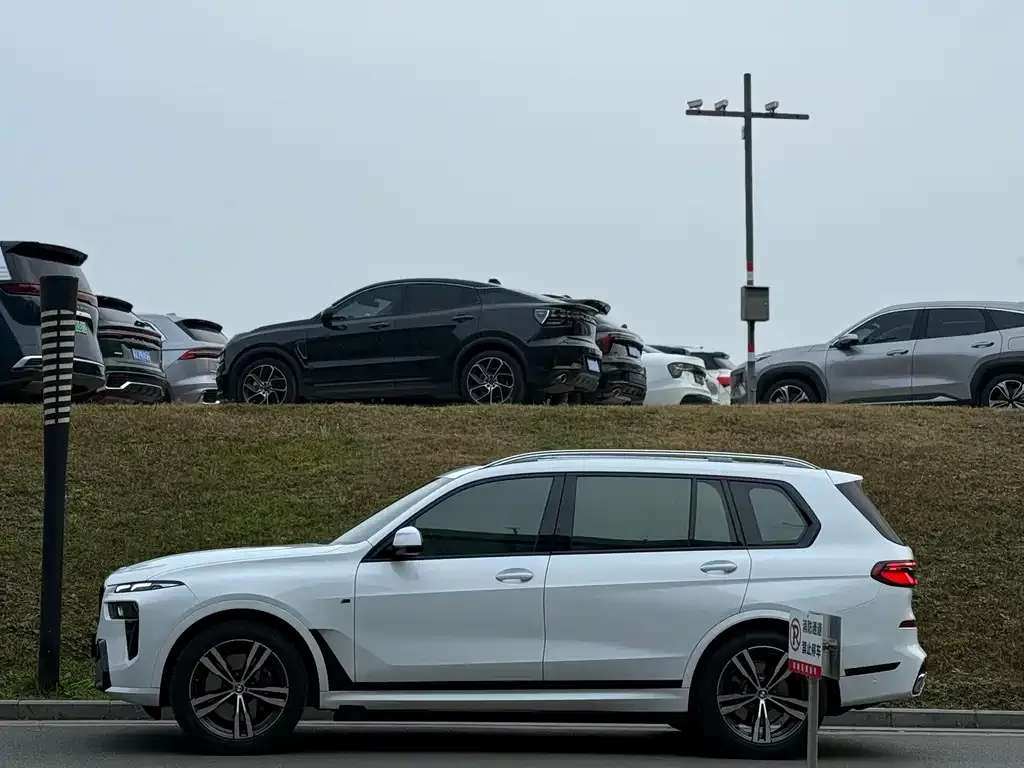 BMW X7 2023 из CN, фото 10