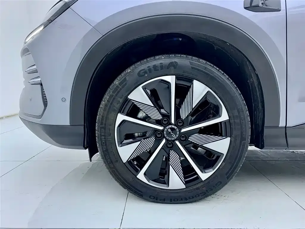 BYD PLUS New Energy 2025 из CN, фото 5