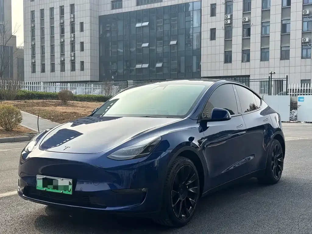 Tesla Model Y 2021 из CN, фото 1