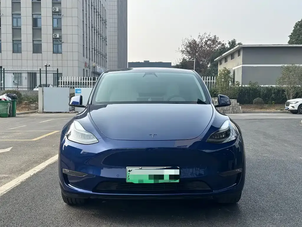 Tesla Model Y 2021 из CN, фото 7