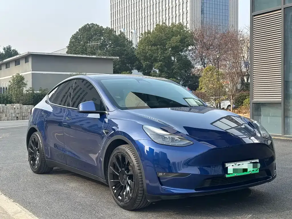 Tesla Model Y 2021 из CN, фото 10